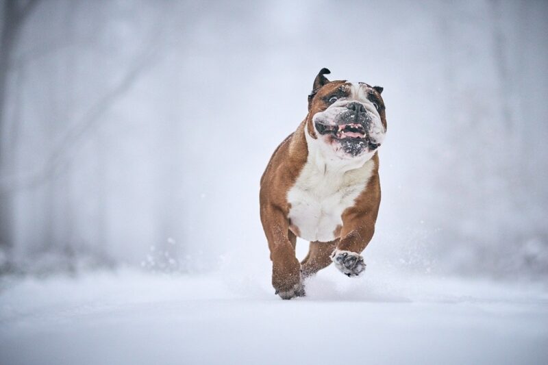 Гороскоп для всіх знаків зодіаку на 15 січня 2026 року