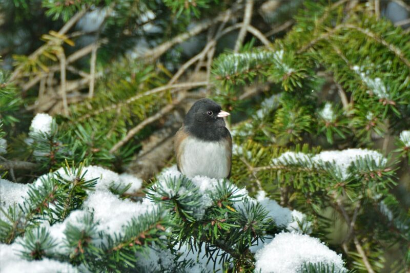 Гороскоп для всіх знаків зодіаку на 6 січня 2026 року
