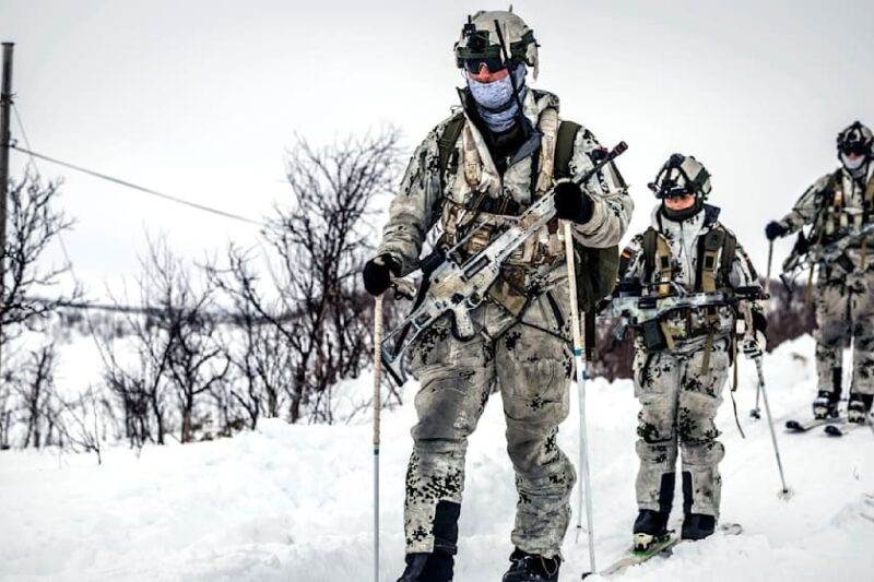 Німеччина відправляє солдатів до Гренландії