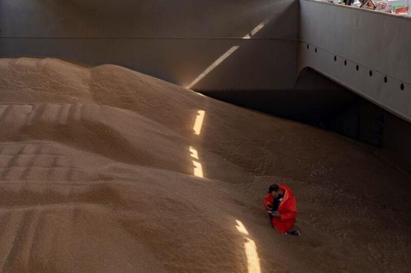 Польща пожалілася в Раду ЄС на агроімпорт з України – ЗМІ