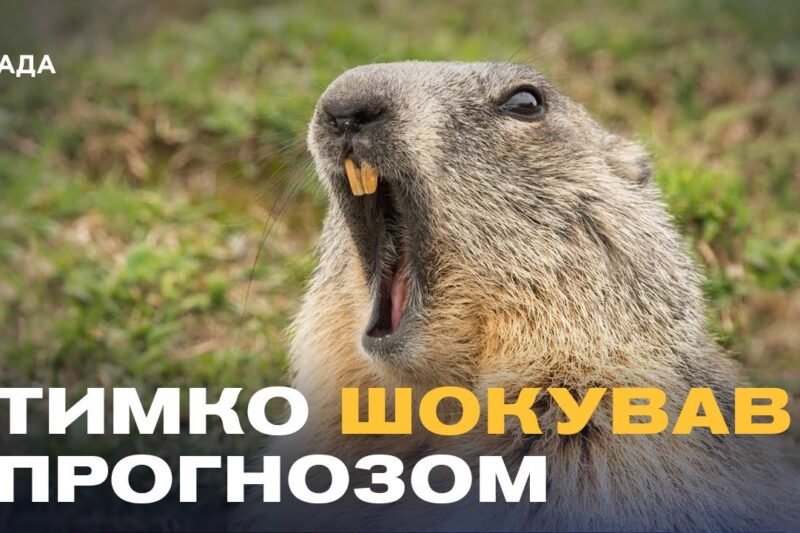 Бабак Тимко зробив прогноз: скільки ще триватиме зима?