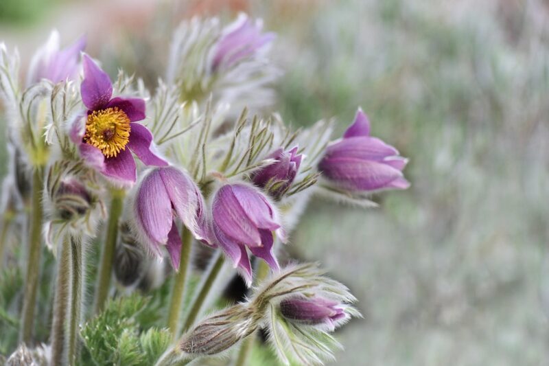 Гороскоп для всіх знаків зодіаку на вихідні 28 лютого &ndash; 1 березня 2026 року