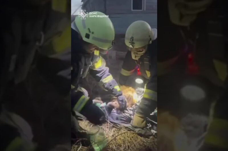 Кожне життя має значення: порятунок хвостиків під час пожежі у Харкові