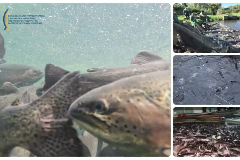 ❗️Аквакультура – один з елементів продовольчої безпеки держави