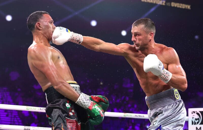 Гвоздик оцінив готовність Хижняка до професійного боксу