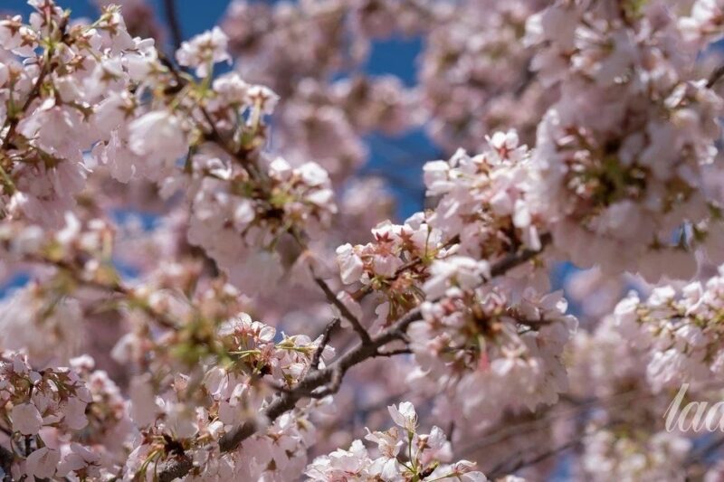 Квітень 2026: що буде з тарифами, виплатами переселенцям та пенсіями