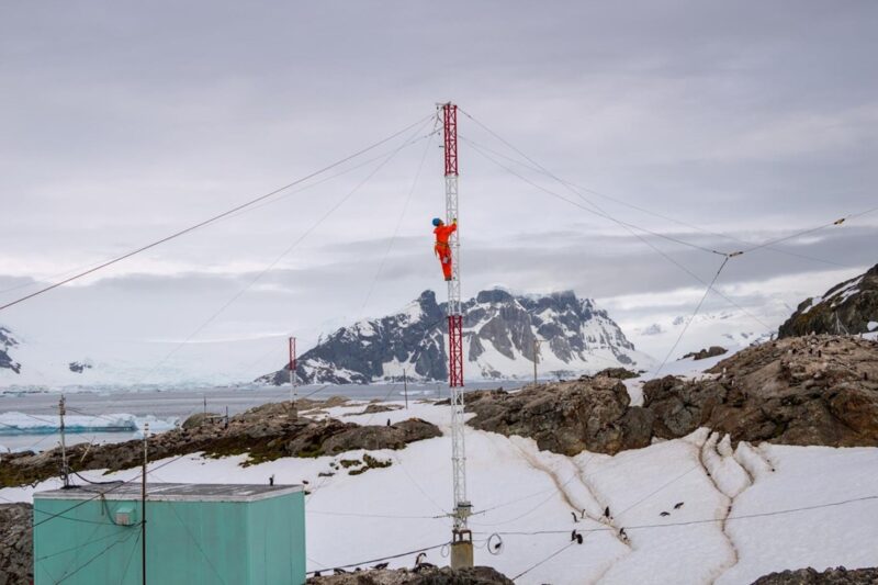 Пінгвіни, птахи і тюлень: українські полярники перемогли у фотоконкурсі