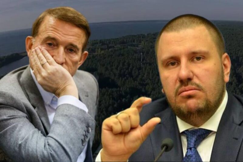 Пов&rsquo;язані з Медведчуком і Клименком землі на Київщині повернули державі