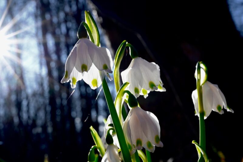 Прогріє до +15&deg;: якою буде погода на початку тижня