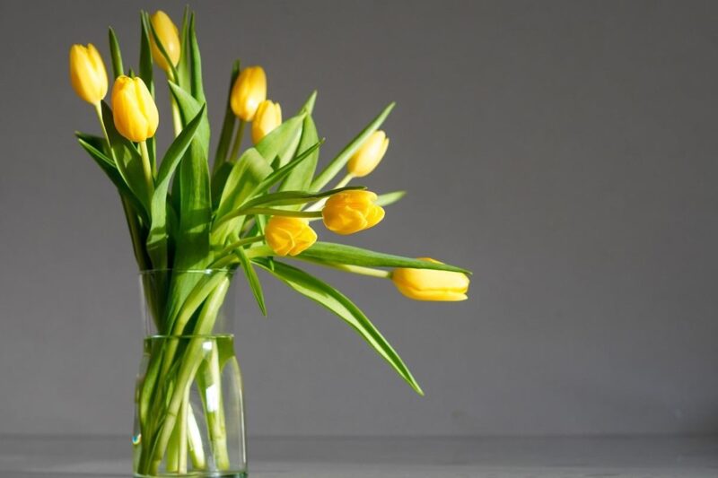 Свята 12 березня 2026: історія, традиції, прикмети