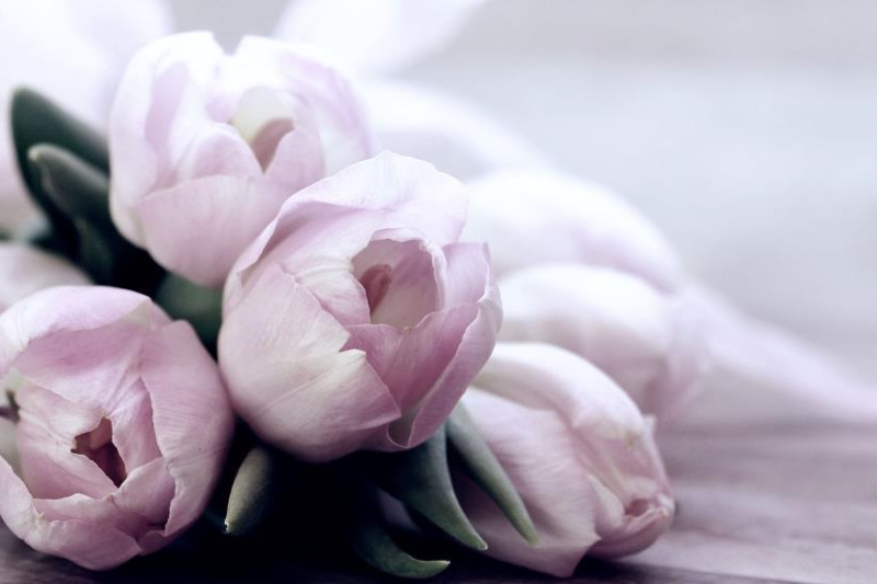 Свята 16 березня 2026: факти, традиції, прикмети