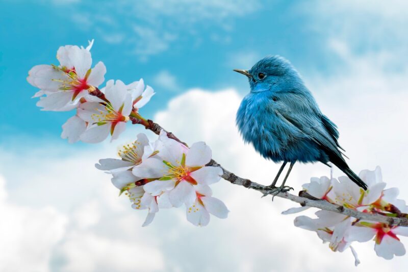 Свята 18 березня 2026: події, факти, іменини