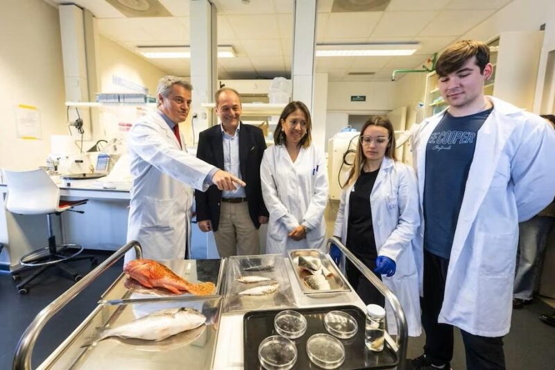 В Іспанії створили штучну рогівку з риб&rsquo;ячої луски