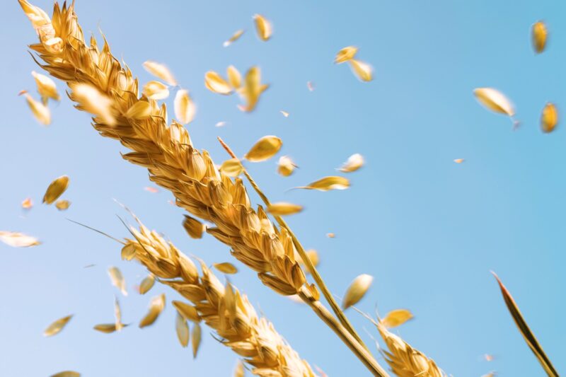 Війна в Ірані розганяє ціни на продовольство