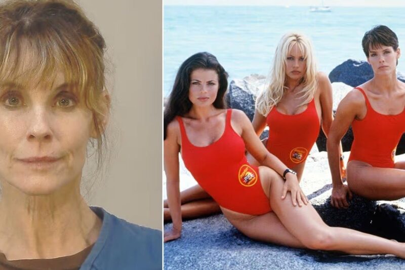 Визволила біглів. Зірку серіалу Рятувальники Малібу заарештували