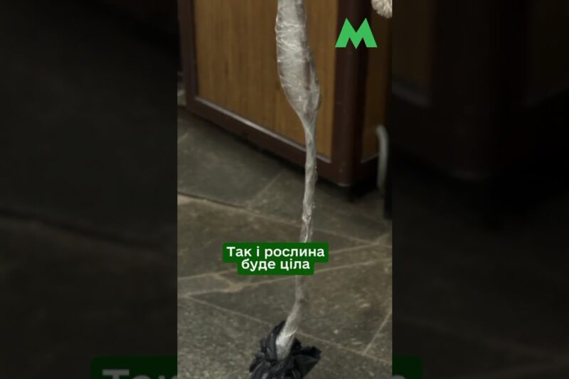 Як перевозити саджанці у столичному метро: правила