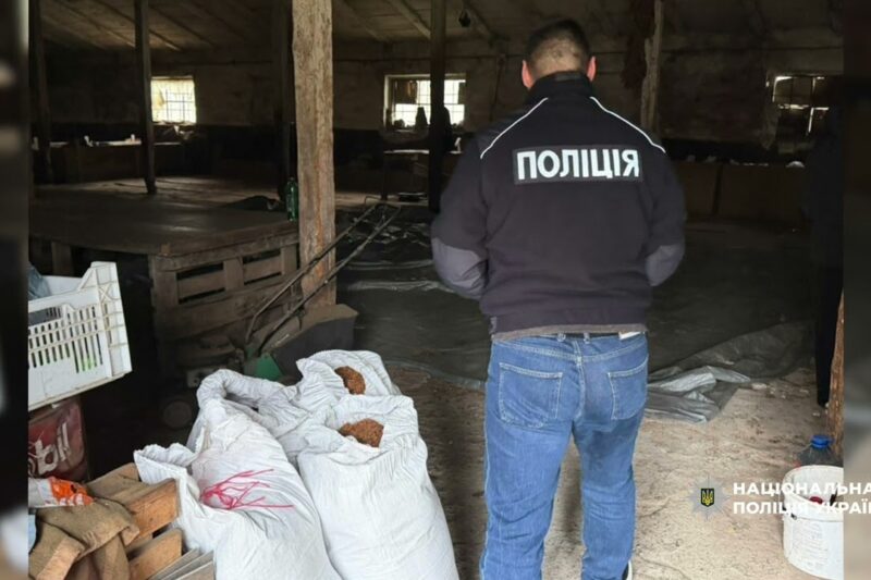 Від поля до «чорного» ринку: ДСР Нацоліції ліквідував незаконний канал постачання тютюну