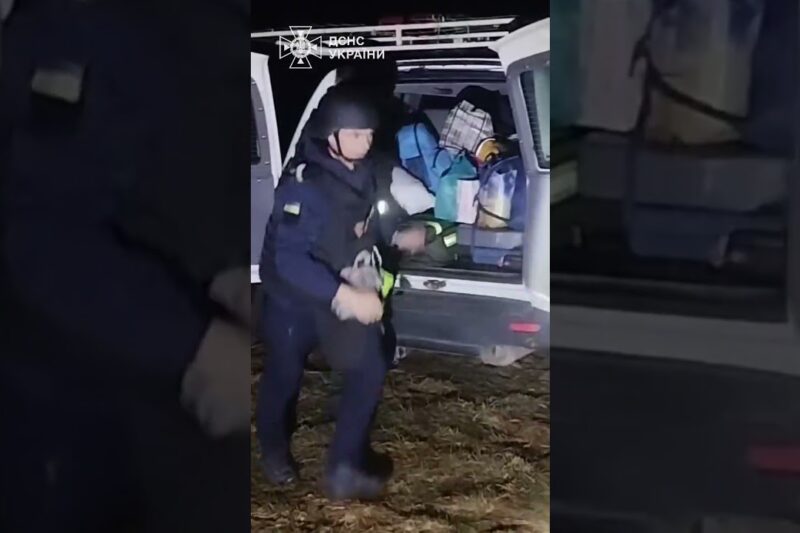 2 дітей, жінку та їхнього улюбленця евакуювали на Сумщині!