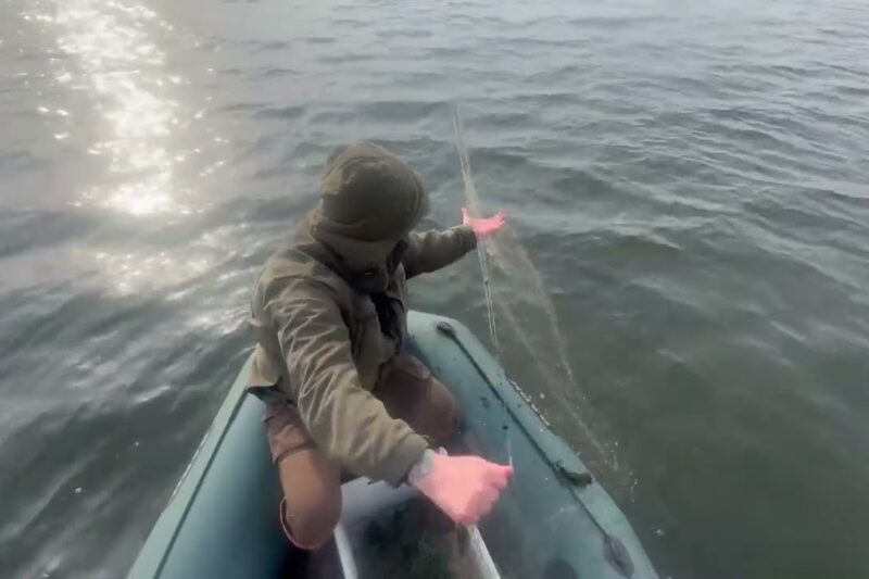 ❗️ На водоймах Рівненщини розпочалася нерестова заборона