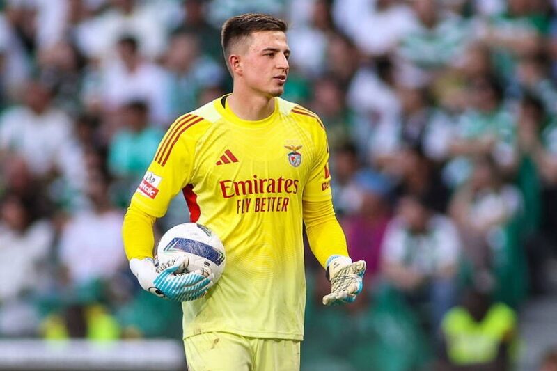 Бенфіка назвала суму, за яку відпустить українця