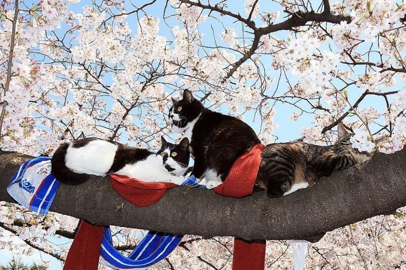 Синоптики повідомили, коли в Україну вернеться тепло