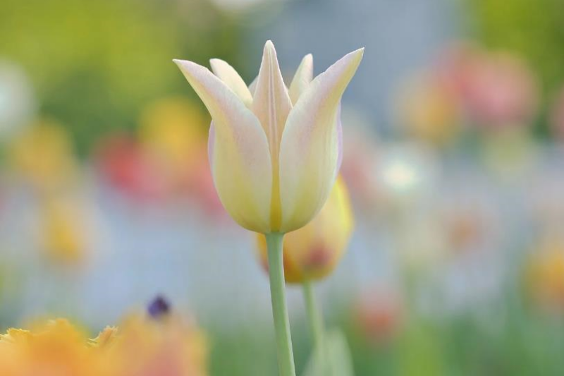 Свята 23 квітня 2026 року: що не можна робити в цей день