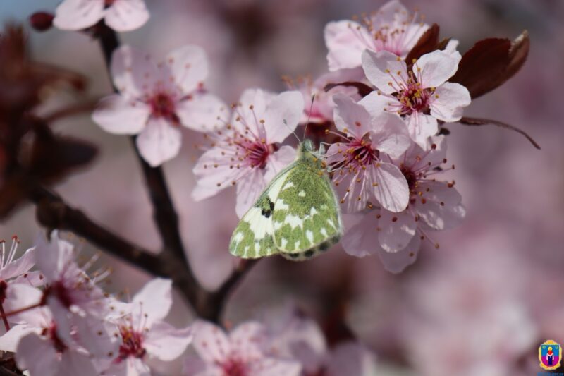 Свята 27 квітня 2026: іменини, заборони, факти