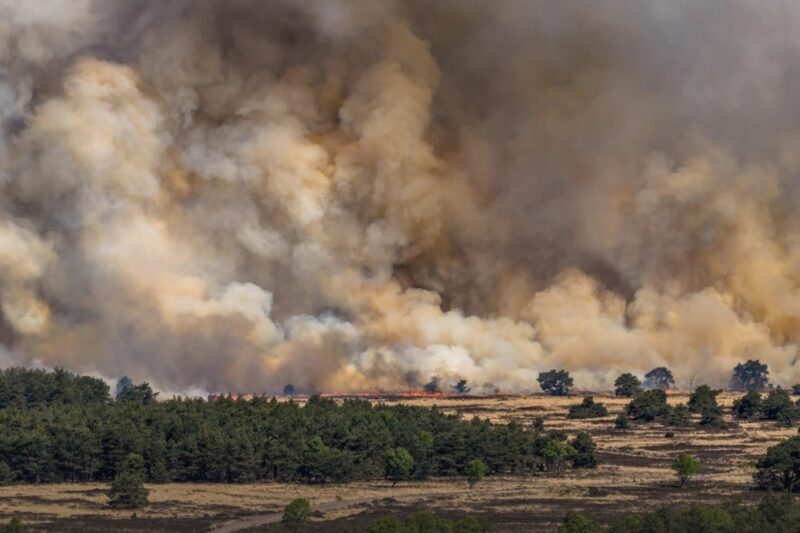 В Нідерландах розгорілася пожежа на військовому полігоні