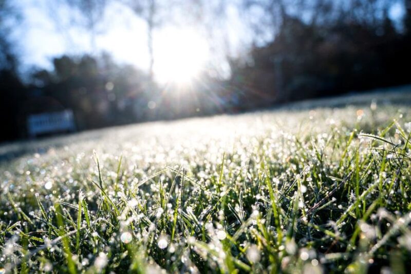 В Україну повертаються заморозки і мокрий сніг