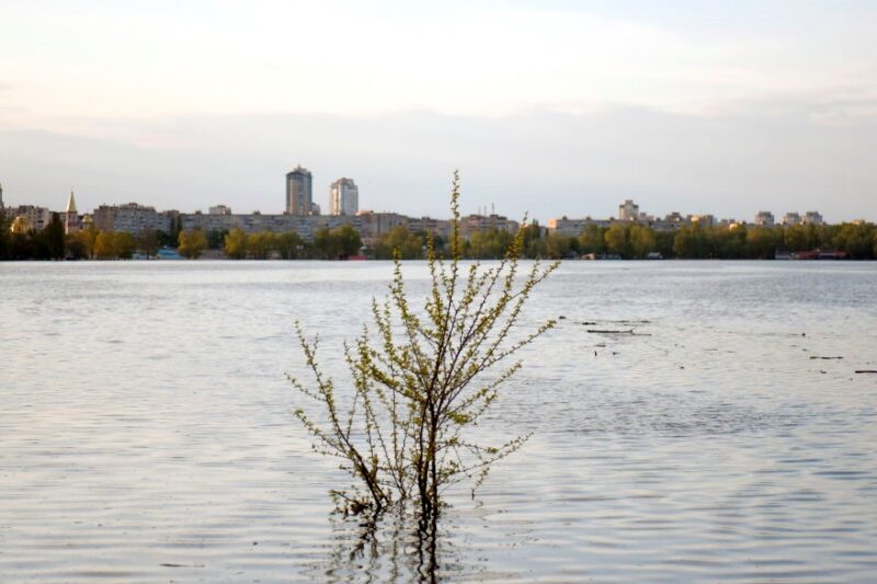 В Укренерго скасували відключення на понеділок
