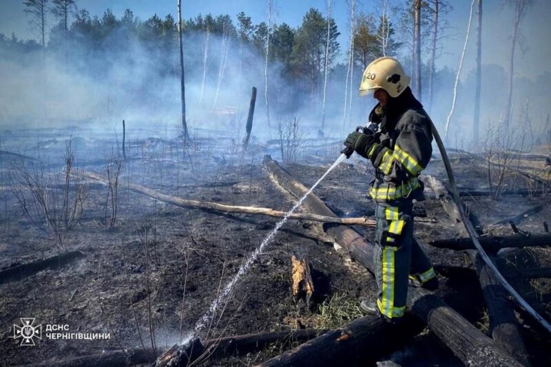 На Чернігівщині палають тисячі гектарів лісу
