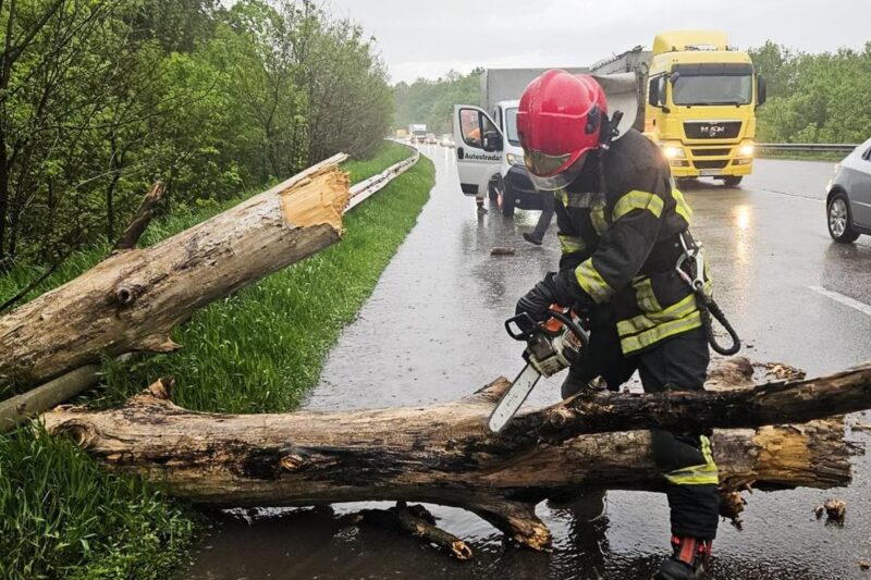 Повалені дерева перекрили траси: Україну накрила негода