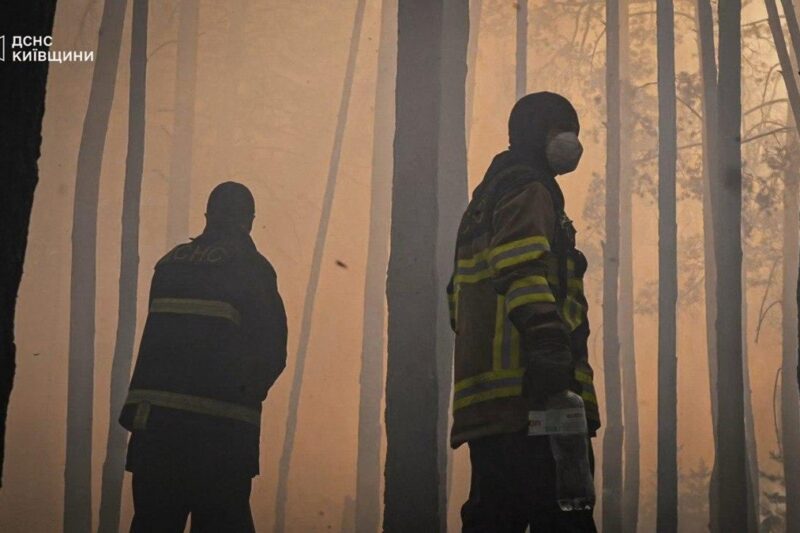 Пожежа в Чорнобильській зоні: експерти оцінили рівень радіації