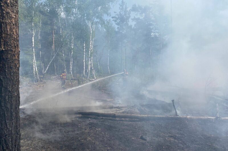 Російські дрони знову підпалили зону відчуження