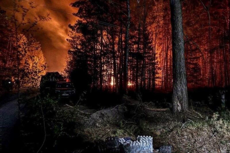 У Зоні відчуження триває ліквідація лісової пожежі