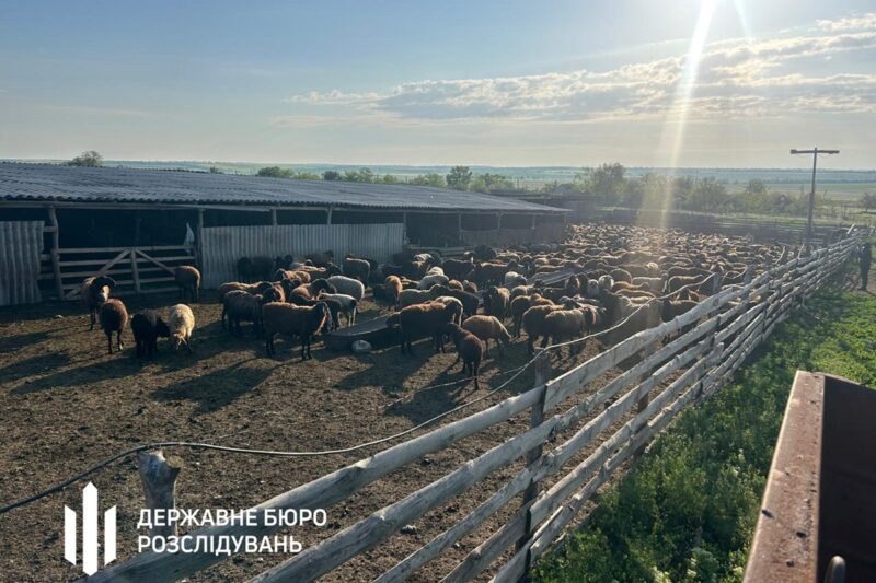 Викрито схему привласнення коштів в Держпродспоживслужбі