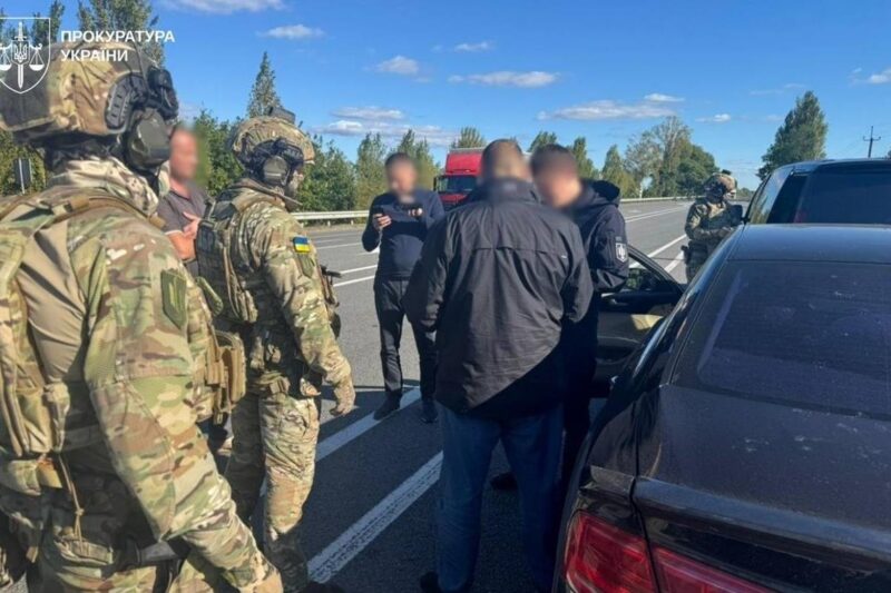 Легалізація 10 тисяч незаконно зрубаних дубів: викрито схему на 147 млн