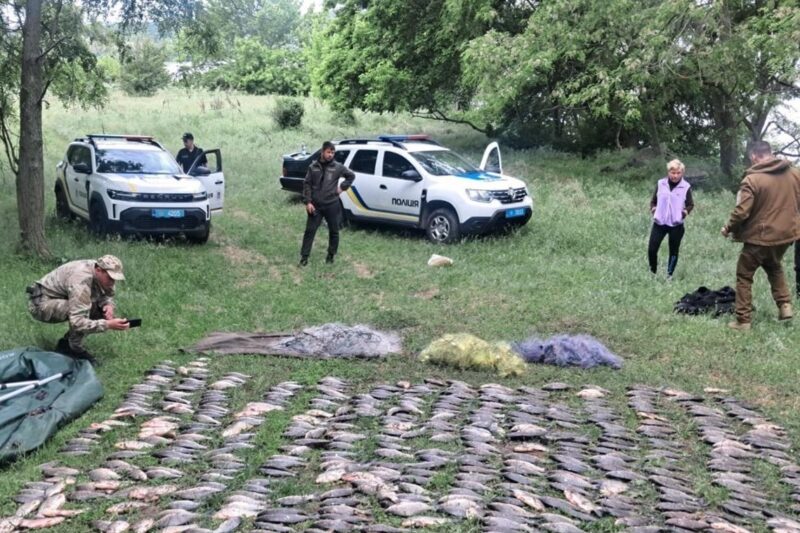 Операція Нерест: у браконьєрів вилучили 10 тонн риби
