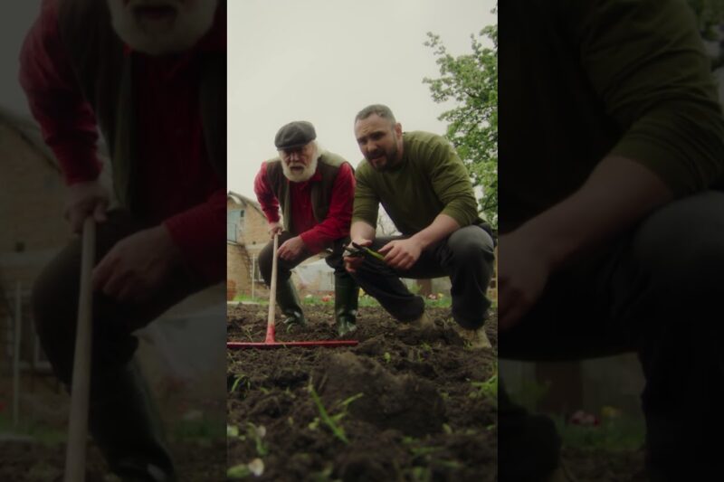 Твій город та поле змінилися!