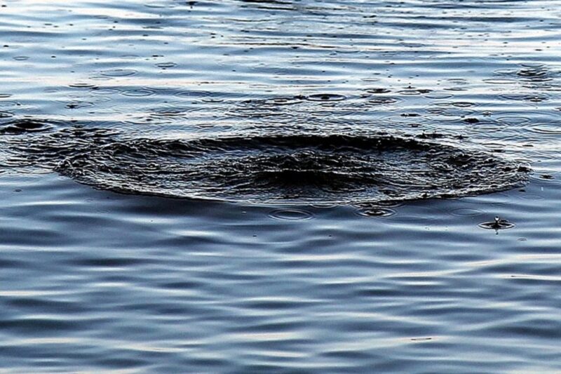 Троє дітей впали у воду на Харківщині: одна дитина загинула