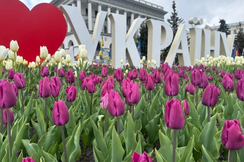 В Україні перевірили понад 99% назв вулиць у новому реєстрі адрес